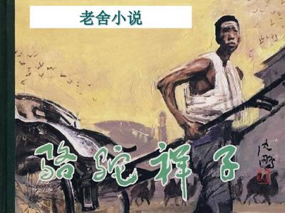 小辣椒nb18